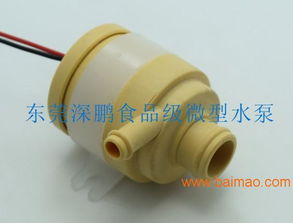 食品级微型水泵 家用厨房与环保设备的理想选择